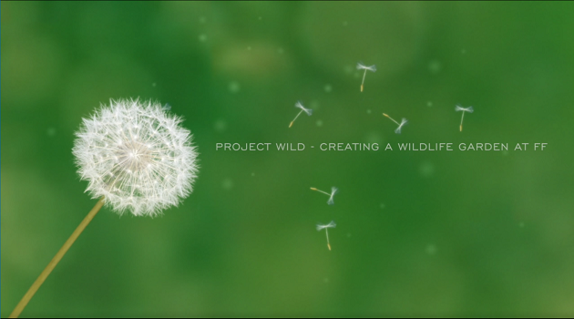 Project WILD FF