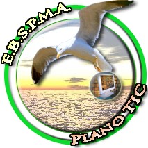Plano TIC